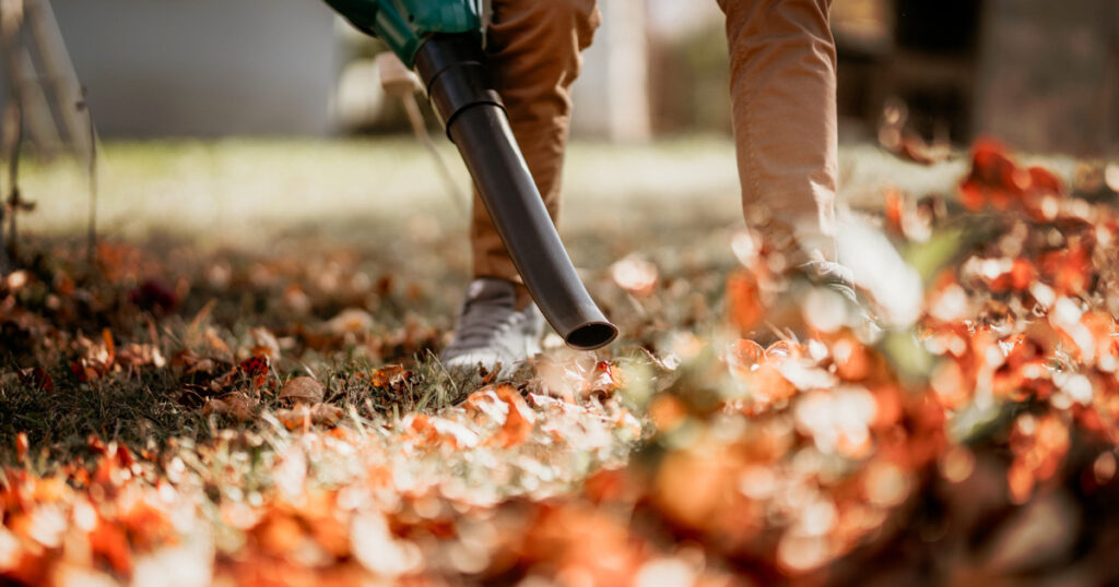 fall yard tips